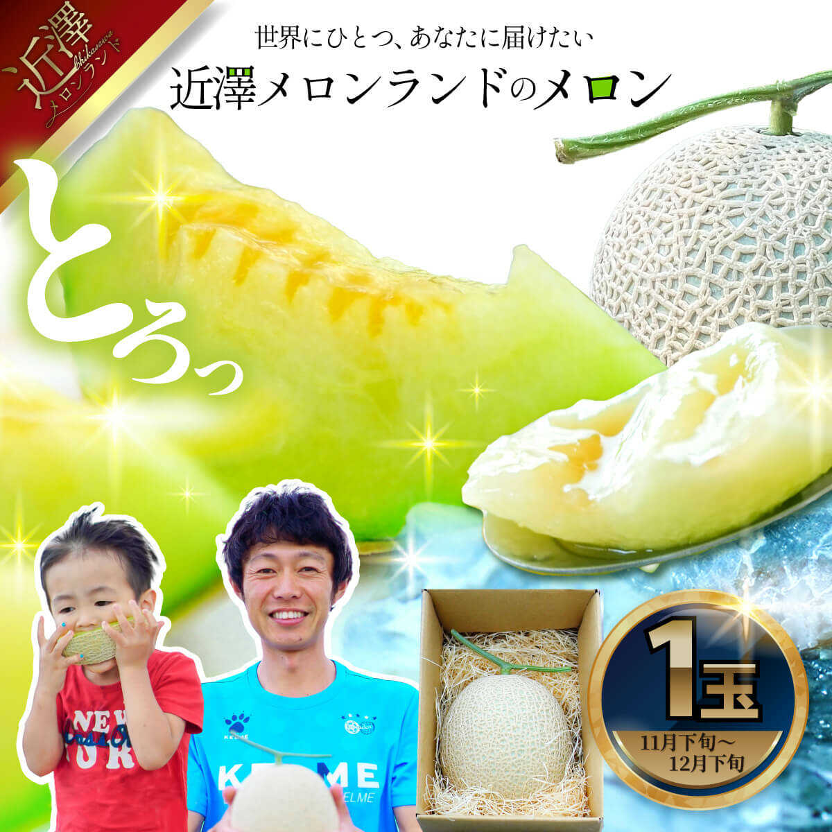 【ふるさと納税】【先行予約】 メロン 1玉入（約1.4kg〜1.8kg） メロン フルーツ 高知 土佐市 お取り寄せ 国産 産直 高知県土佐市/株式会社とさもん[BQAE022]