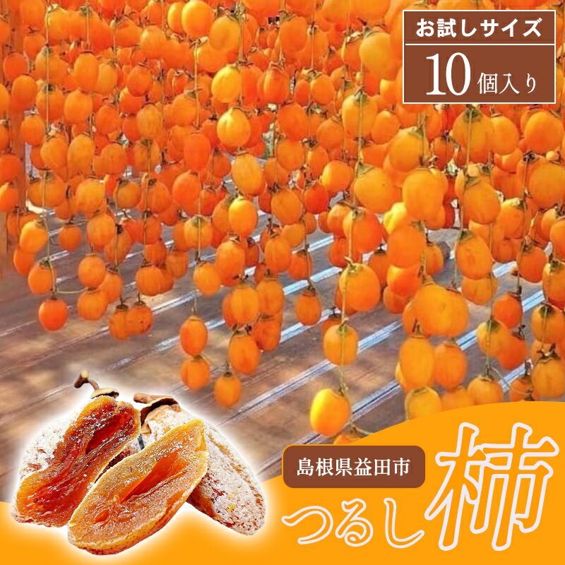 【ふるさと納税】 先行予約 干し柿 つるし柿 10個 1連 果物 フルーツ 和菓子 西条柿 干柿 甘い 季節限定 期間限定 早期予約 12月中旬〜12月下旬発送 特産品 お取り寄せ グルメ お試しサイズ