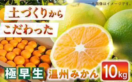 【自然の力を活かした栽培】温州みかん（極早生） 10kg -2025年10月下旬より発送- 長与町/農事組合法人希望種（きぼうのたね） [ECQ002] みかん ミカン 柑橘 温州みかん 果物 くだもの フルーツ 長崎みかん 長与みかん 極早生みかん 10kg