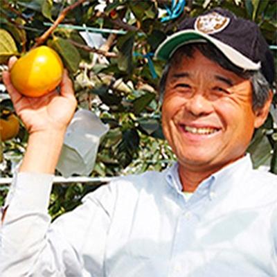 ふるさと納税 玉東町 【産直】太秋柿(大玉)約2.5kg　5玉〜8玉　緑伸園の夕焼け太秋 |  | 02