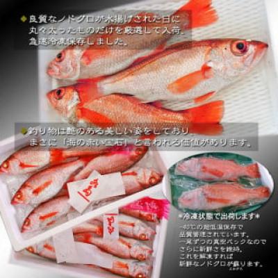 ふるさと納税 新発田市 【鮮度抜群】真空冷凍　日本海産ノドグロ 4尾セット(1尾 約300g以上) |  | 02