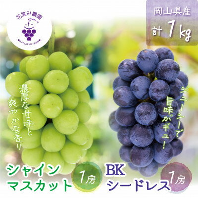 【ふるさと納税】【2026年先行予約】岡山　花笑み農園『シャインマスカット&BKシードレス』1kg(2房)BS-1_ シャインマスカット BKシードレス 食べ比べ 1kg 2房 ぶどう フルーツ 果物 送料無料 岡山県 津山市 【配送不可地域：離島・北海道・沖縄県】【1628317】