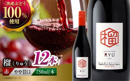 赤ワイン 榴 りゅう RYU 750ml×12本 [APAZ136]赤ワイン