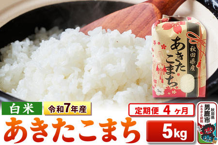 《定期便4ヶ月》令和7年産 【白米】秋田県産 あきたこまち 5kg
