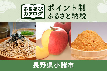 【有効期限なし！後からゆっくり特産品を選べる】長野県小諸市カタログポイント