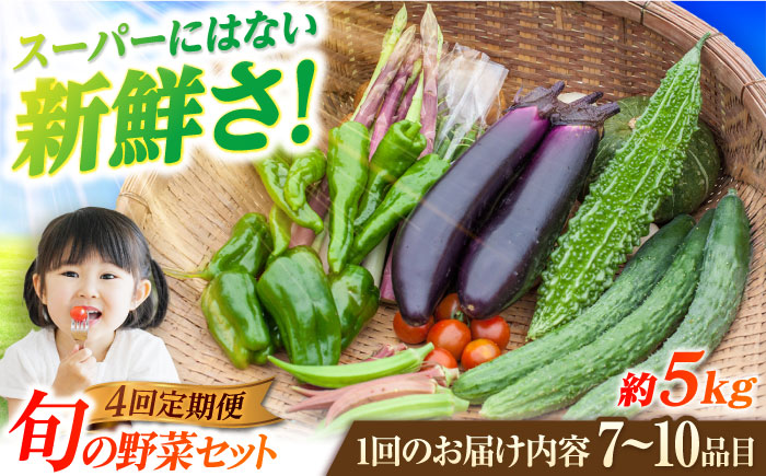 【4回定期便】　旬野菜セット7～10品目（五島列島産）5kg未満　五島市/やぁしゃ便 [PBG009]