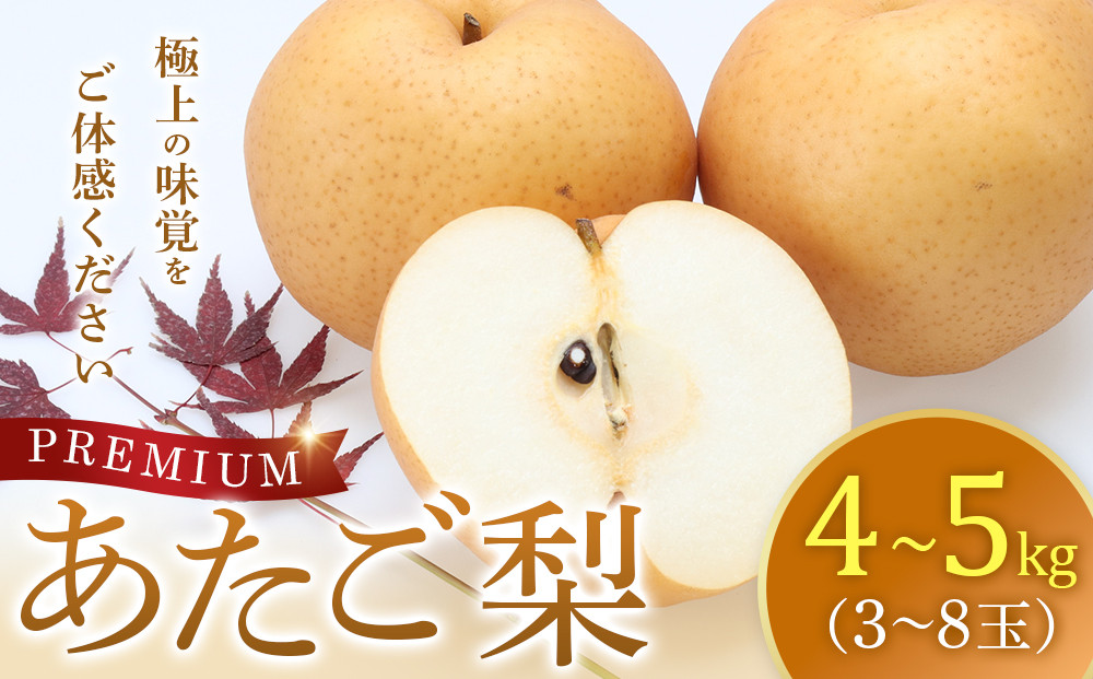 304.プレミアム あたご梨4～5kg(3～8玉前後)梨の中でも一番巨大 鳥取県産　≪梨 なし ナシ 果物 フルーツ くだもの 鳥取県北栄町≫　※2025年11月下旬～2026年2月中旬頃に順次発送予定 313726_AN074