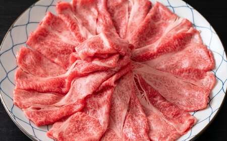 【厳選部位】【A4～A5】 長崎和牛 サーロイン しゃぶしゃぶ すき焼き用 約600g （約300g×2パック） ／ 和牛 牛肉 ぎゅうにく お肉 おにく 肉 にく 牛サーロイン スライス すき焼き 