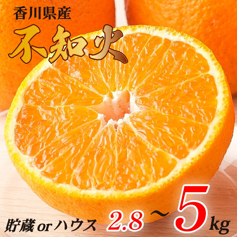 【ふるさと納税】 不知火 選べる 約2.8kg 約3kg 約5kg ハウス 貯蔵 常温 冷蔵 先行予約 しらぬい 果物 フルーツ 香川県 丸亀市