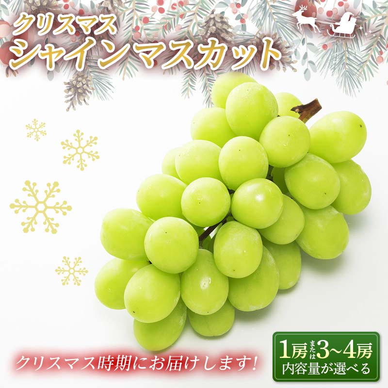 【ふるさと納税】 【令和7年産先行予約】 クリスマス シャインマスカット 《内容量が選べる》750g以上 (1房 秀)／1.8kg以上 (3～4房 秀) 《令和7年12月19日～発送》 『フナヤマ農園』 マスカット ぶどう 果物 フルーツ デザート 山形県 南陽市 [1112]