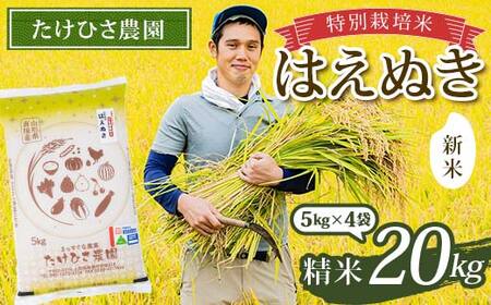 【令和7年産 新米 先行予約】 特別栽培米 はえぬき (精米) 20kg (5kg×4袋) 《令和7年9月下旬～発送》 『たけひさ農園』 山形南陽産 米 白米 山形県 南陽市 [2374-AR7]