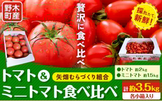 【先行予約】トマト 小箱 約2kg + ミニトマト 小箱 約1.5kg 食べ比べ 栃木県 野木町産 矢畑むらづくり組合 《2025年10月上旬-2026年6月下旬頃出荷》栃木県 野木町 トマト ミニトマト 野菜 新鮮