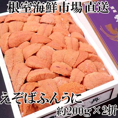 ふるさと納税 根室市 エゾバフンウニ(赤系)200g×2折 D-28042