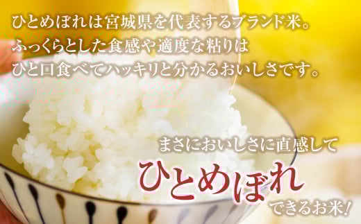 米 無洗米 金芽米 令和7年 宮城県 加美産 ひとめぼれ 特別栽培米 200kg （ 5kg × 40袋 ） [ 宮城県 加美町 ]  お米 こめ コメ 精米 白米 玄米 きんめまい おすすめ 新米 