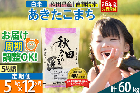 【白米】＜令和6年産 予約＞ 《定期便12ヶ月》秋田県産 あきたこまち 5kg (5kg×1袋)×12回 5キロ お米【お届け周期調整 隔月お届けも可】