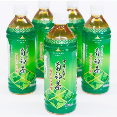 ふるさと納税 山梨県 甲斐のみどり南部茶(ペットボトル500ml) 24本入り1ケース |  | 02