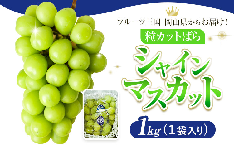 シャインマスカット 粒カット ばら 1kg Lino ＆ Kai Farm《2026年10月上旬-11月中旬頃出荷》マスカット 送料無料 岡山県 浅口市 シャインマスカット 岡山 ぶどう フルーツ 果
