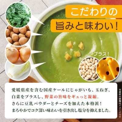 ふるさと納税 西予市 【6ヶ月定期便】グリーンケールポタージュ |  | 02