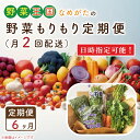 【ふるさと納税】【到着日指定可!!】【6ヶ月定期便】野菜王国なめがたの野菜もりもり定期便（月2回発送）｜CU-141