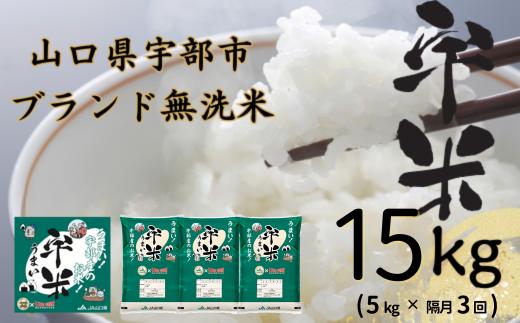 
            【令和6年度新米】【先行予約】【定期便】恋の予感　5kg（5kg×1袋）　隔月×3回（合計15kg）【無洗米】【宇米】※偶数月(2025年2月, 4月, 6月)にお届け 【米 お米 精米 国産米 山口県産米 宇部米 宇米 無洗米 ご飯 コメ ごはん ふっくら 恋の予感 定期便】
          