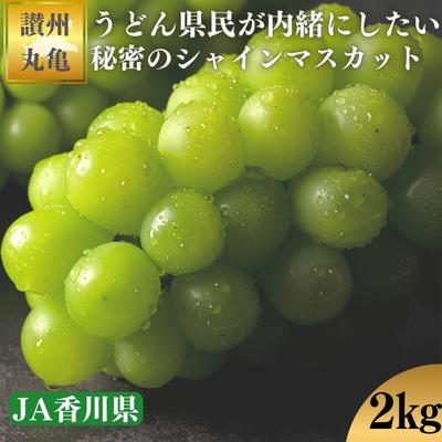 【ふるさと納税】 早期予約 シャインマスカット 約2kg マスカット ぶどう 葡萄 果物 フルーツ スイーツ デザート ケーキ ゼリー シャーベット アイス ジェラート ふるさと納税ぶどう ふるさと納税シャインマスカット 贈答 プレゼント 送料無料 人気 おすすめ ふるさと納税
