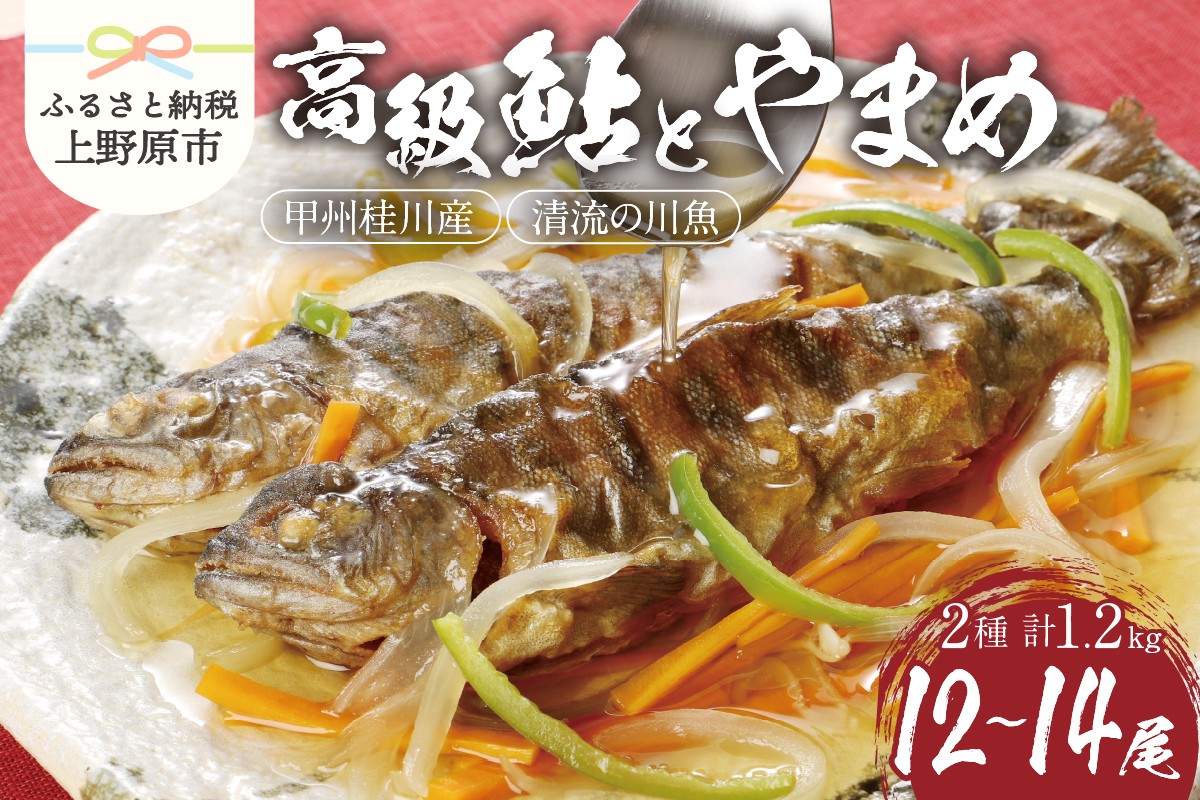 
            【一級河川(魚)】甲州桂川の高級鮎（約600g）とやまめ（約600g）セット 鮎 やまめ 魚 川魚 ギフト 和食 鮮魚 清流 塩焼き 甘露煮 贈答 贈り物 送料無料 ※沖縄県、離島不可 山梨県 上野原市
          