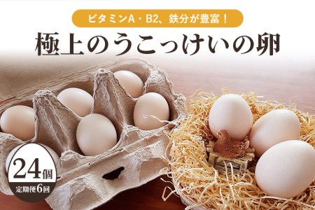 平飼い極上のうこっけいの卵24個（20＋補償4個）×定期便6回 卵かけご飯 卵かけごはん TKG 卵 たまご タマゴ 玉子 烏骨鶏 烏骨鶏の卵 安全 テレビ TV マニアさん 健康 美容 ご飯 すき焼き 目玉焼き 卵焼き 玉子焼き たまご焼き ＜TBS系列『熱狂！1/365のマニアさん』やBSテレビ東京『都会を出て暮らそうよ』で紹介のうこっけいおみたまごファーム＞