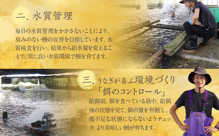 ハズレない 国産 うなぎ 白焼き 2尾 100g 中サイズ 計200g 国産うなぎ 鰻 厳選 ウナギ かば焼き 丑の日 高級 贅沢 ご褒美 特産品 ふっくら お取り寄せ うな重 うな丼 ひつまぶし 冷