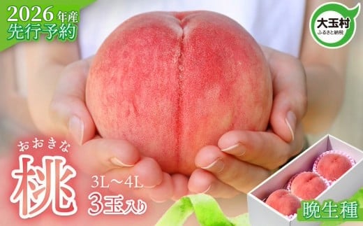 
                  もも 先行予約 桃 福島 大玉村 大きいサイズ ( 3L 〜 4L ) 3玉 (約1kg) 2026年産 8月中旬～9月下旬発送 ｜ 令和8年産 農家直送 もぎたて 朝獲れ 菊地果樹園 福島県 大玉 産 川中島白桃 さくら ゆうぞら 晩生種 旬 フルーツ 果物 ジャム モモ ギフト 贈答 ｜ kk-mm01-R8
                