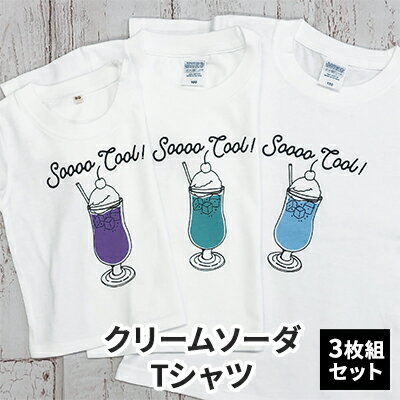 【ふるさと納税】3人兄弟姉妹でおそろい /クリームソーダ パープル（小）グリーン（中）ブルー（大）/ Tシャツ3枚組ギフトセット