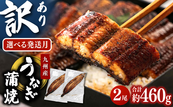 
            【選べる発送月】訳あり 鹿児島産 うなぎ 蒲焼 2尾セット 桂川町/山水商事 [ADAH029]
          