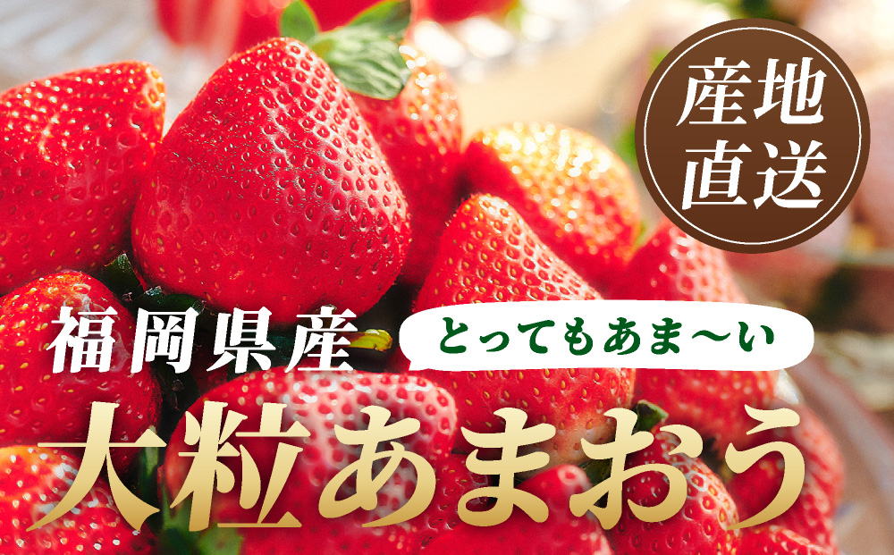 あまおう『極』重箱1段 9粒(約300g) あまおう『極』重箱1段 9粒(約300g)