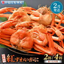 【ふるさと納税】【訳あり】≪浜茹で≫越前産 紅ずわいがに 約700g × 2杯 ～ 4杯 食べ方しおり付【紅ズワイガニ カニ かに 蟹 姿 ボイル 冷蔵 福井県】【2月発送分】希望日指定不可