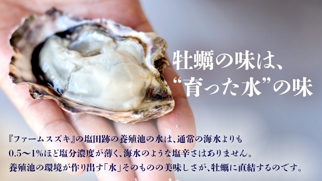 養殖池の環境が作り出す「水」そのものの美味しさが、牡蠣に直結します。