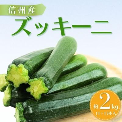 ふるさと納税 豊丘村 【南信州産】ズッキーニ　約2kg(11〜13本入り)6月上旬から順次発送