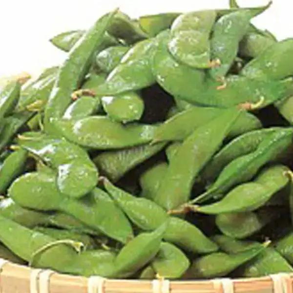 先行予約 枝豆 約1.8kg 令和8年度 新潟県 枝豆 [三条果樹専門家集団]