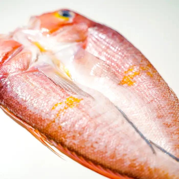 「一日漁」甘鯛一夜干【干物 鯛 甘鯛 1尾 約27cm 約300g 国産 魚介類 魚 あまだい たい タイ 一夜干 一日漁 無添加 天日塩 特産品 お取り寄せ グルメ 贈答 ギフト プレゼント 父の日