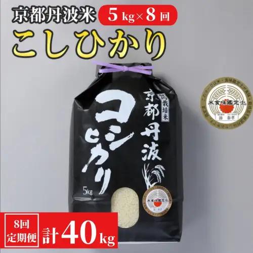 【8回定期便】コシヒカリ 5kg 定期便 精米 白米