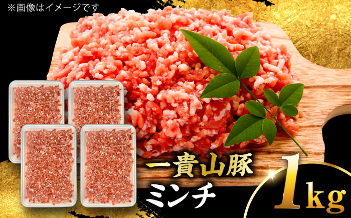 【選べる！冷凍配送 冷蔵配送】一貴山豚 ミンチ 計1kg(250g×4p) 糸島市 / いきさん牧場 豚肉 [AGB053]