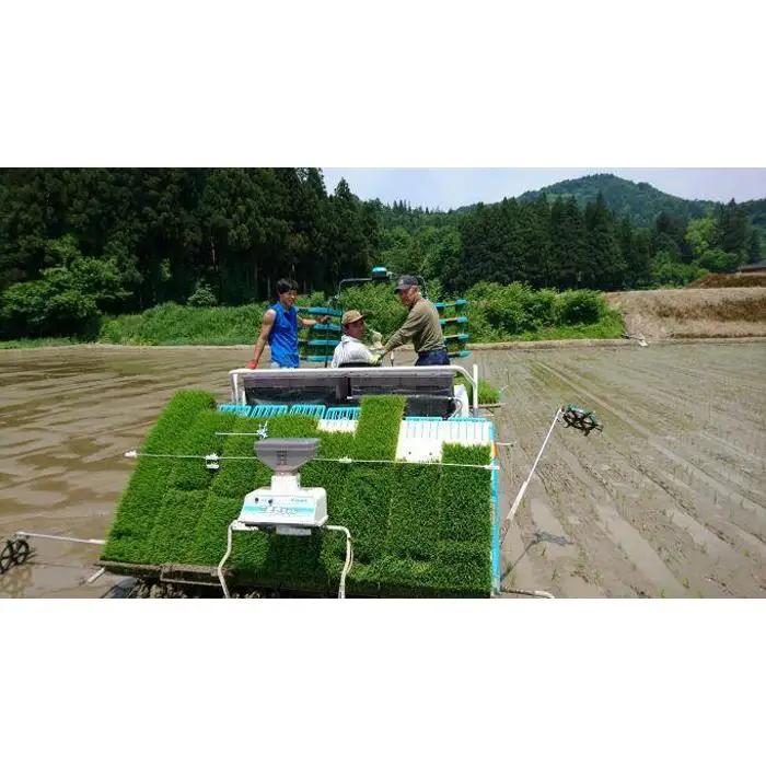 【令和７年産】【定期便】５kg×12ヶ月　南魚沼産コシヒカリ 井口農場 こだわりの 特別栽培米｜定期便