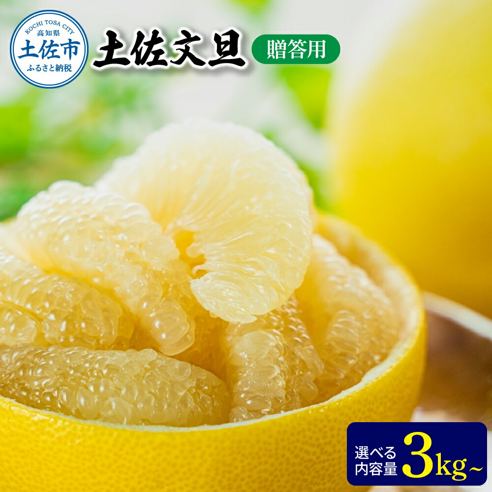 【ふるさと納税】文旦 贈答用 選べる内容量 3kg or 5kg ぶんたん ブンタン 温室土佐文旦 土佐文旦 柑橘 フルーツ 果物 くだもの みかん 3キロ 5キロ 贈答 ギフト 贈り物 土佐 高知 やの一果彩 ふるさとのうぜい 故郷納税 高知県 27000円～ 土佐市