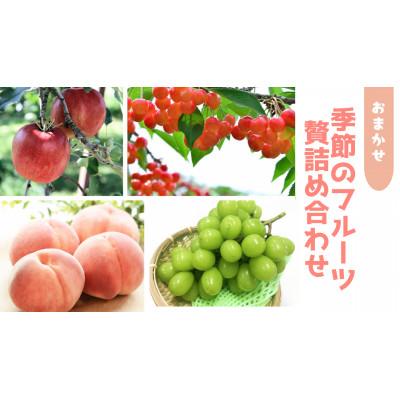ふるさと納税 中野市 信州中野 季節の果物おまかせセット【フルーツ詰め合わせ】