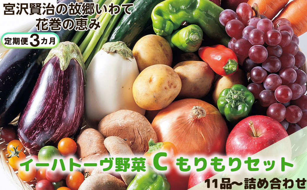 【定期便３ヶ月】イーハトーヴ野菜C もりもりセット 11品～ 詰め合わせ 【1208】