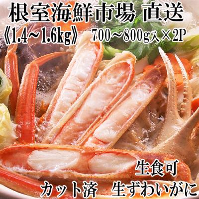 ふるさと納税 根室市 生食可!カット済み生ずわいがに700〜800g×2P B-28088