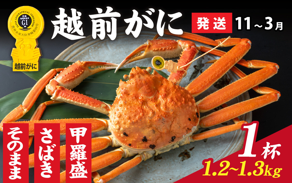 
            【先行予約】選べる！美味しさ直送【成前特選】越前かに（1.2kg～1.3kg）×1杯【11月～3月発送】  [O-028021]
          