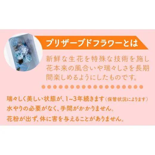 【母の日ギフト】バラの花を中心としたプリザーブドフラワーアレンジ 母の日プレゼント ギフト【西九州させぼ地域商社】