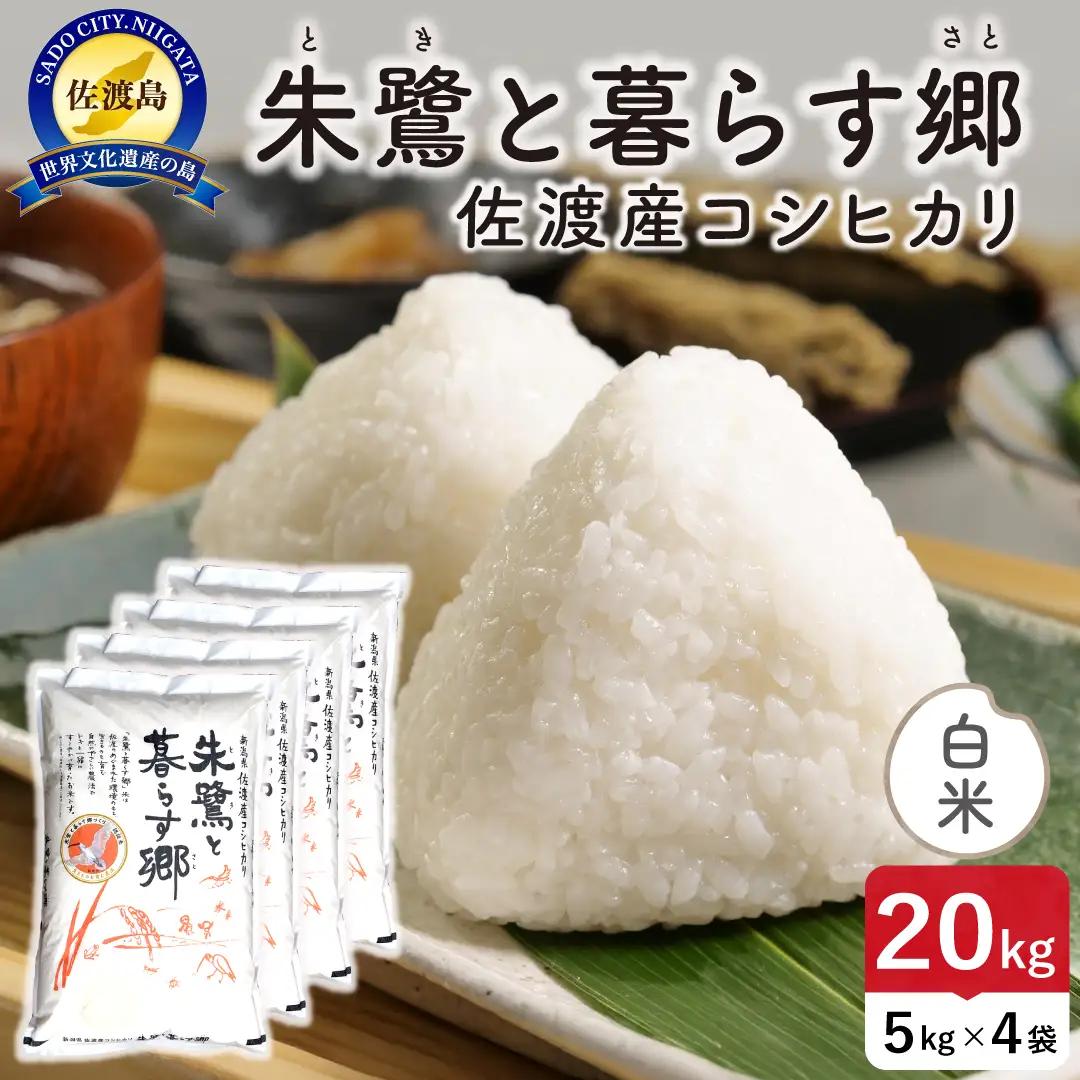 令和8年産 佐渡島産 朱鷺と暮らす郷 白米20kg 特別栽培米