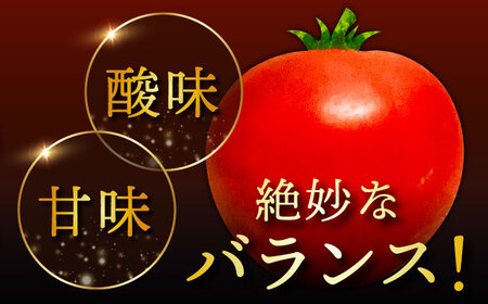 【期間限定】松本さんの極上 ミニトマト 約1kg トマト ミニ トマト プチ トマト 極上 とまと 人気 ミニとまと [DBR001] ＜小値賀町＞ 長崎県 五島列島 [DBR001]