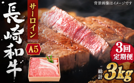 【全3回定期便】長崎和牛 サーロイン ステーキ 総計3.0kg (1.0kg/回)【株式会社 OGAWA】[QBI012]