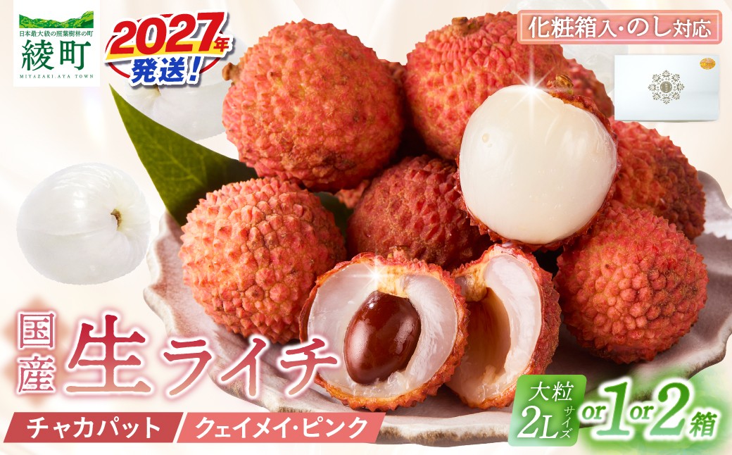 
                  先行予約 《選べる内容量》 数量限定 希少 国産 綾 生ライチ 化粧箱入り 大粒 果物 フルーツ くだもの 国産ライチ 2027年 トロピカルフルーツ 南国フルーツ 冷蔵 ジューシー 高級 デザート ギフト 贈り物 プレゼント ご褒美 宮崎県 送料無料【JA綾町】_A0114-1043-SKU
                